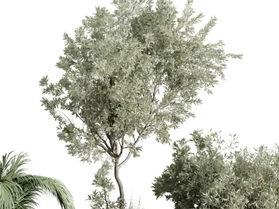 set Outdoor Indoor plant  concrete dirt vase pot tree bush palm 3D model