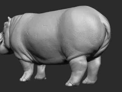 Hippopotamus - Sculpt 3D model