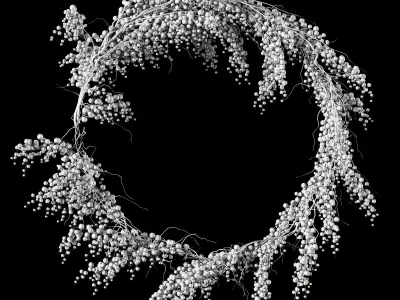 Christmas Wreath With Berries 3D model