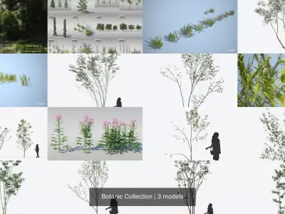 Botanic Collection trees and plants