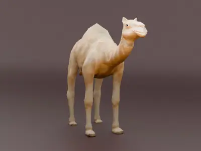 Game Ready Low Poly Camel 3D Model Low-poly 3D model