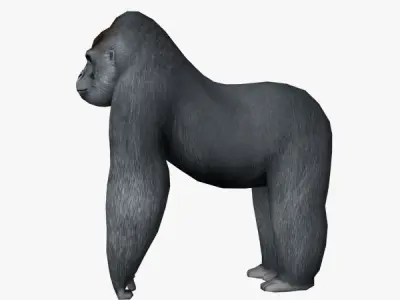 Gorilla Low-poly 3D model shop