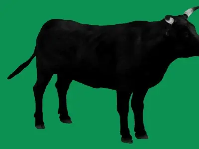 Black Bull Cattle Low-poly 3D model