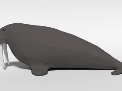 Low Poly Cartoon Walrus Low-poly 3D model