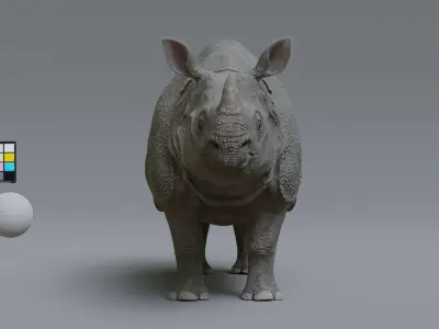 indian rhino Low-poly 3D model