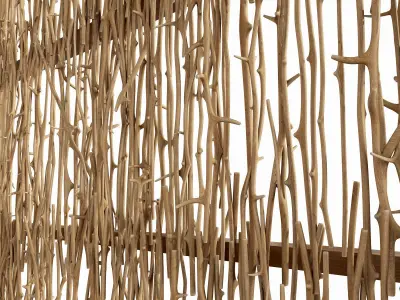 Branch crooked ceiling n1 3D model