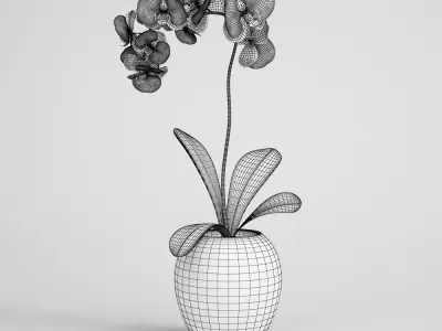 CGAxis flower 3D model