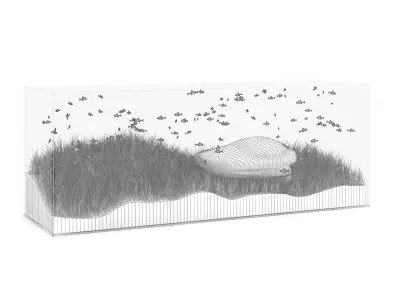 Rectangular Aquarium 3D model