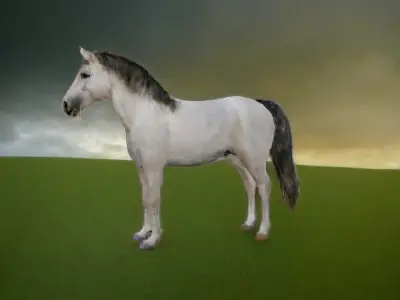 Rigged and animated white horse Low-poly 3D model