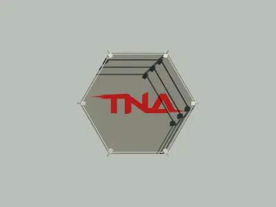 TNA Wrestlin Ring Low-poly 3D model