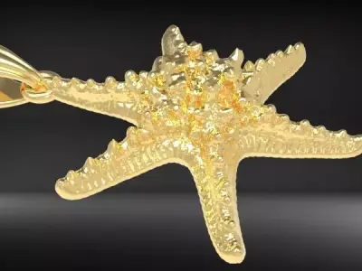 3d Italian Starfish Pendant Necklace charm  3D print model