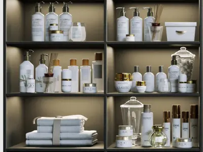 Laundry room with cosmetics for clothes and towels 3D model