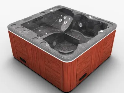 Whirpool SPA 00 3D model