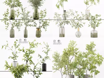 Collection Indoor Plant 01 3D Model Pack