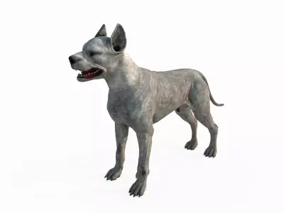 Mammalian hunting dog 3D model