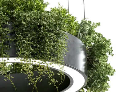 pot light pendant plant light hanging 05 3D model