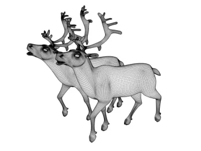 reindeer 3D Model two 3D model