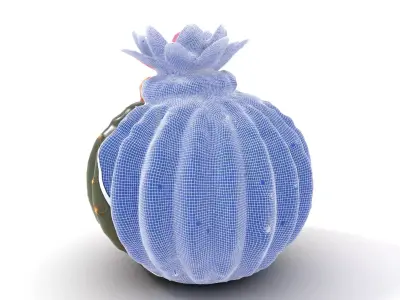 Flowering Cactus Plant model pack Low-poly 3D model