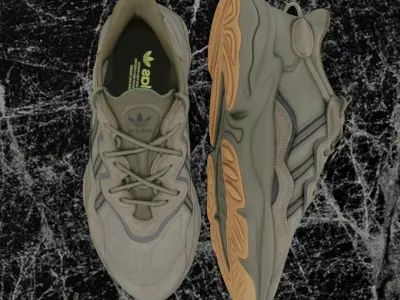 ADIDAS OZWEEGO TRACE CARGO 3D SHOES Low-poly 3D model