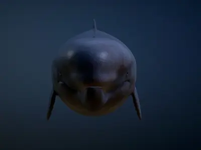 Livyatan Melvillei  3D model