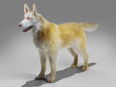 Fur Big Dog Yellow Rigged Low-poly 3D model