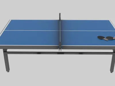 Pin Pong 3D model