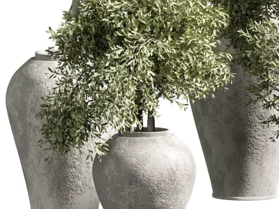 Indoor plant 14 3D model