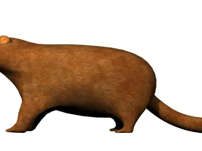 Groundhog Textured 3D model
