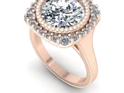 CAD-2067-Ring-B 3D print model