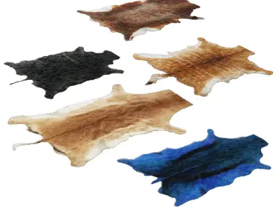 Skins of wild animals 3D model