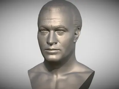 Steven Seagal bust 3D print model