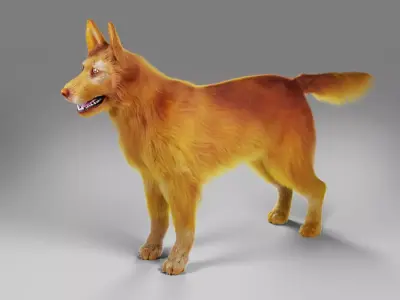 Fur Red Dog No Rigged Low-poly 3D model