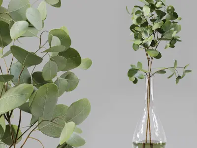 Collection Indoor Plants 01 3D model
