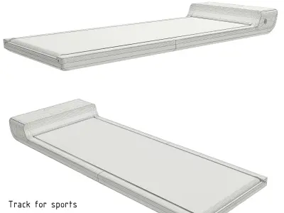 Track for sports walking  treadmill D670 3D model