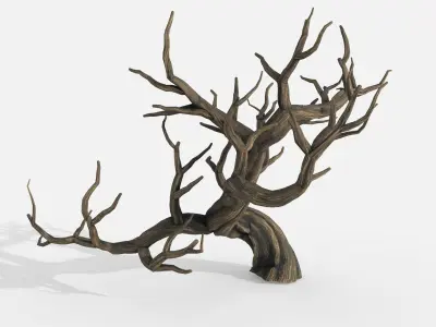 Aquarium Snag V32 3D model