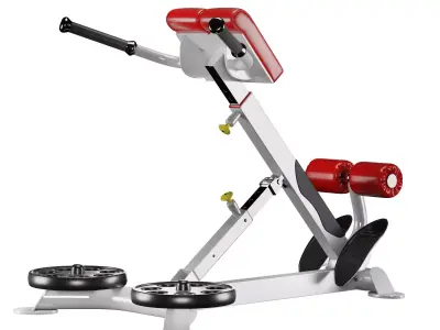 CF-3663 HYPEREXTENSION 3D model