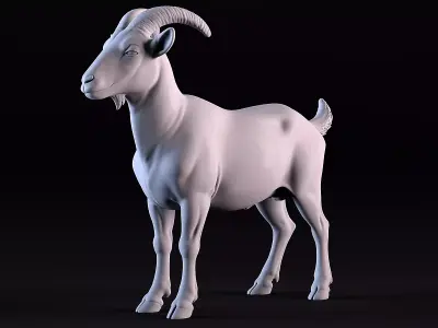Nanny goat 3D print model