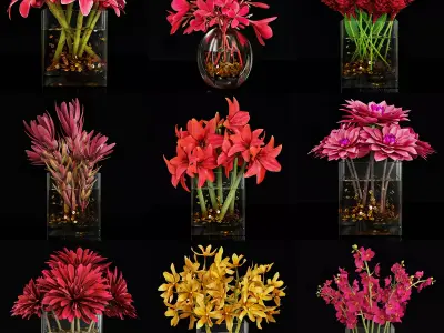 Plant collection 4 flowers in glass vase