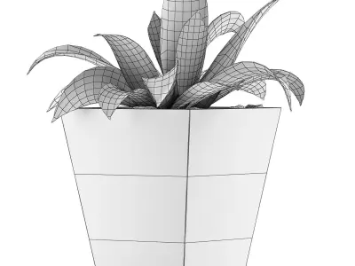Plants Collection 60 3D model