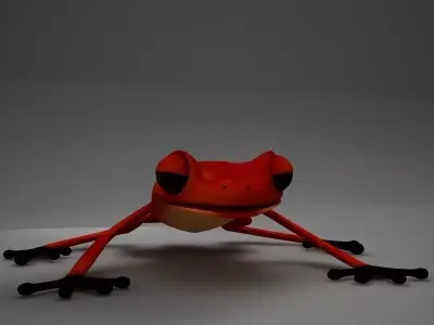 Poison Arrow Frog 3D model