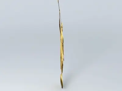 Enter Moroni Free 3D model