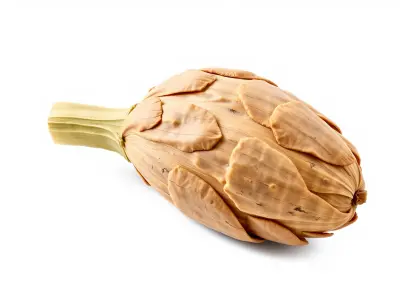 Realistic Jerusalem Artichoke High Detail model pack Low-poly 3D model