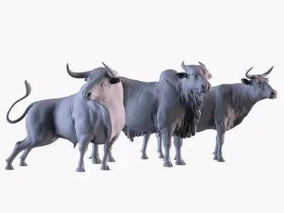 Bulls Pack 3D print model