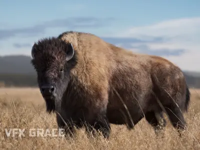 Bison Male  UE Character Asset 3D model