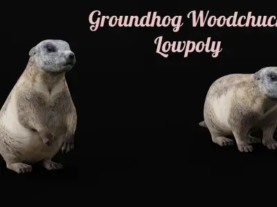 Groundhog Marmots Low-poly 3D model