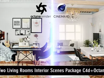 Two Living Room Interior Scenes Package 3D model