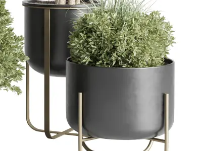 collection indoor plant stand metal vases pot tree bush 3D model