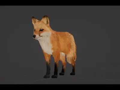 Red Fox Low-poly 3D model