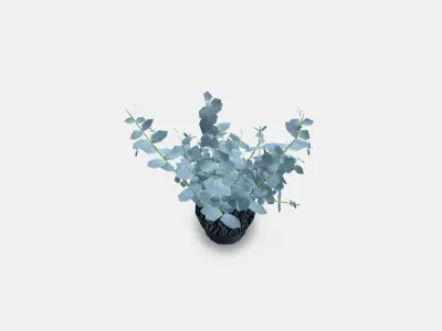 FEJKA Artificial potted plant 5 3D model
