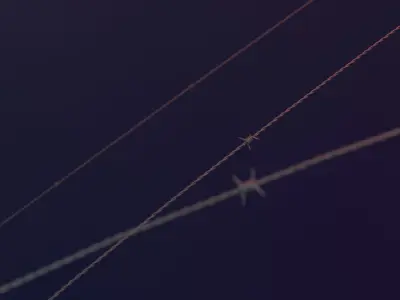 Barbed Wire 3D model Free 3D model